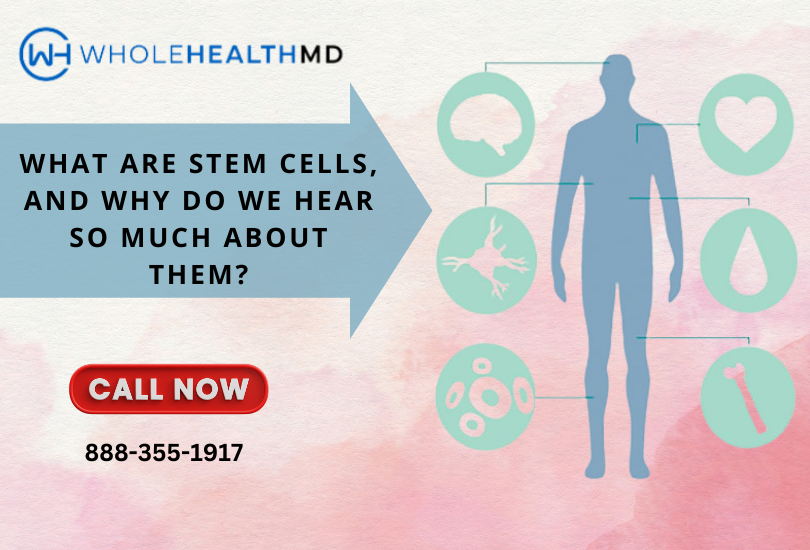 Stem Cell
